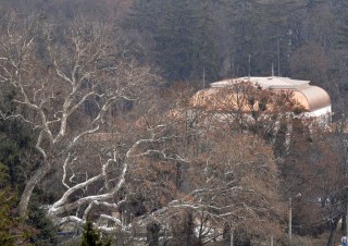 Roots…the saga