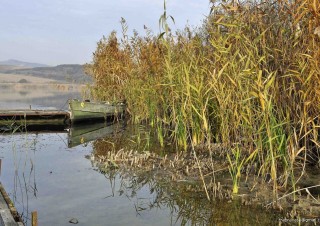 Sacalaia-Lacul Stiucilor