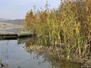 Sacalaia-Lacul Stiucilor